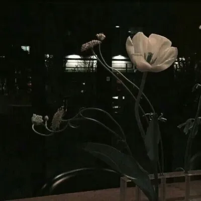 高清冷清新的暗风格风景头像图片第1张