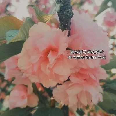 2021永久不换的头像风景带字图片第1张