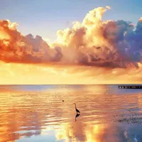 绝美的qq头像风景唯美沙滩图片第1张