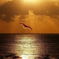 大自然风景微信头像 唯美图片第1张