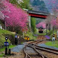 唯美好看有意境的微信头像火车道第1张