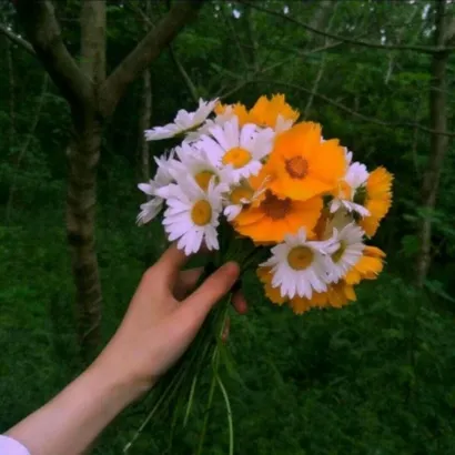 微信头像图片2021最新款花朵第1张