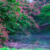 微信风景头像图片2021最新款图片第1张