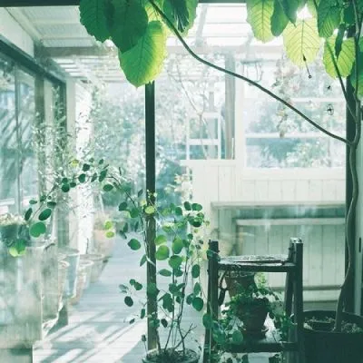 风景最好看的QQ图片2021新款头像第1张