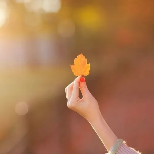 2021年女人最旺财的微信头像风景图片第1张