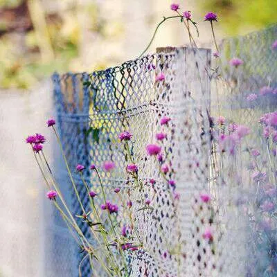 2021新款风景头像图片第1张