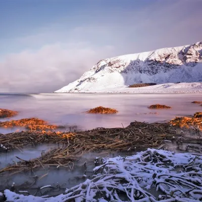 高清好看的2021最美头像图片精选第1张