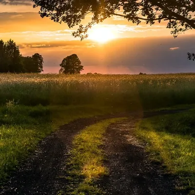 高清好看的2021新款唯美风景头像图片第1张