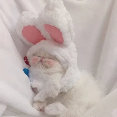 微信头像图片可可爱爱第1张