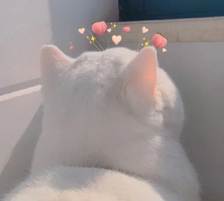 收集了一些可爱头像第1张