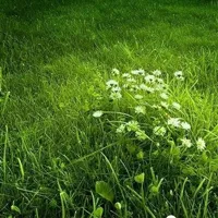 青山绿水好看的qq头像风景唯美阳光的第1张