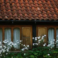 与生活有关的qq个性意境头像图片大全第1张