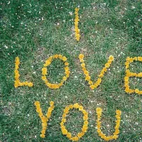 于爱情相关的高清唯美静物头像图片第1张