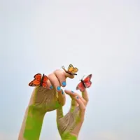 唯美意境头像图片大全第1张