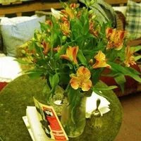 2013最新唯美小清新静物头像图片精选第1张