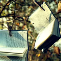 唯美个性qq头像一个女生拿着书的第1张