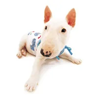 最新整理可爱的萌狗狗头像第1张