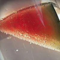 关于西瓜的头像图片大全第1张