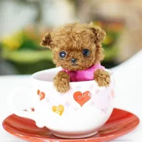 白字的可爱个性狗狗qq头像图片第1张