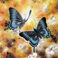 漂亮的好看的蝴蝶qq头像大全第1张