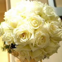 我收藏的好看花朵头像图片第1张