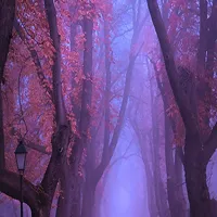 唯美意境风景类qq头像图片小清新系第1张