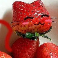 个性清新唯美的蔬菜图片头像第1张