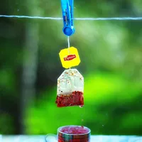 享受镜头拍下的下唯美个性头像图片大全第1张