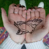 让人感动的捧在手心的爱情和向往头像图片第1张