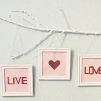 唯美阳光高清唯美静物头像第1张