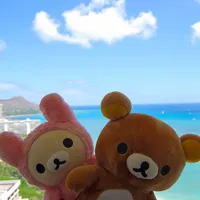 可爱而休闲的小熊形象轻松熊和小鸡可爱卡通头像图片第1张