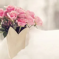 好看的唯美意境清新的qq花朵头像图片第1张