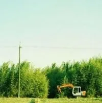 夏季清爽系唯美静态蓝格调的头像第1张