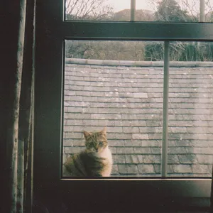 qq高清唯美头像大图片第1张