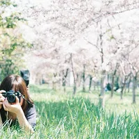 惬意唯美意境风景类qq头像图片第1张
