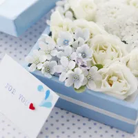 一朵朵美丽的花儿清香的鲜花qq头像大全第1张