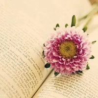 关于花的头像图片第1张