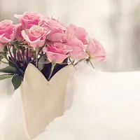 小清新意境个性头像第1张