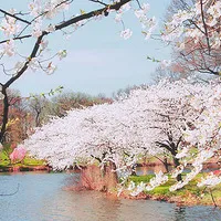 温馨唯美风景头像第1张