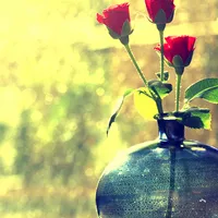 qq个性头像小清新带花的清纯高雅的气息第1张