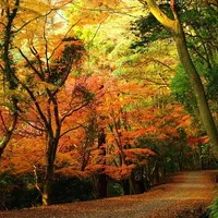 有诗情画意的唯美风景意境个性头像图片精选第1张