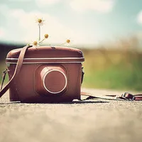 可爱静态意境个性QQ头像图片第1张