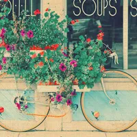 好看的唯美单车意境头像图片大全第1张