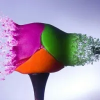 高清个性美图头像第1张