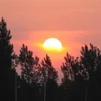 日出qq头像第1张