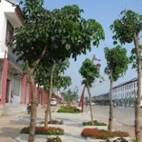 美丽的山水小镇好看的风景头像图片第1张