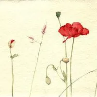 有些杂乱但是很好看小清新个性头像图片第1张