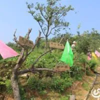 河南万仙山 八城沟个性风景头像图片第1张