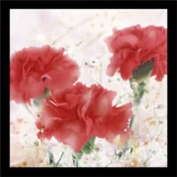 献给母亲的花康乃馨头像图片第1张