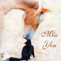 个性可爱另类动物接吻头像图片精选第1张